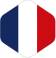 Icon flag